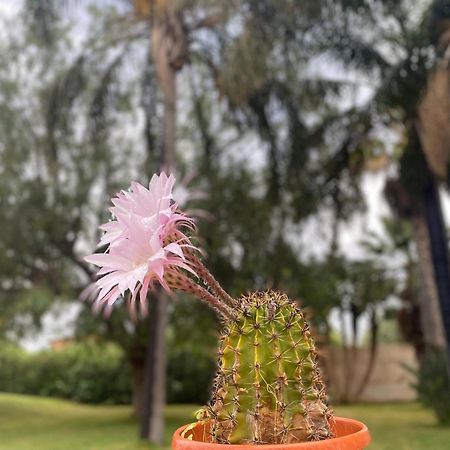 Villa Piruzzu Cv Torre Mulinazzo App P Cinisi Dış mekan fotoğraf